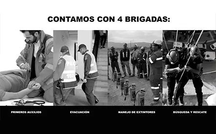 video seguridad